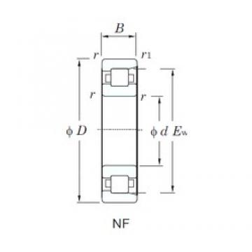 KOYO NF238 cylindrical roller bearings