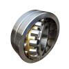 BEARINGS LIMITED SS61903-2RS FM222 BL Bearings