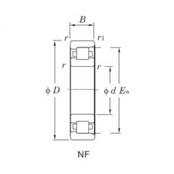 KOYO NF238 cylindrical roller bearings #5 image